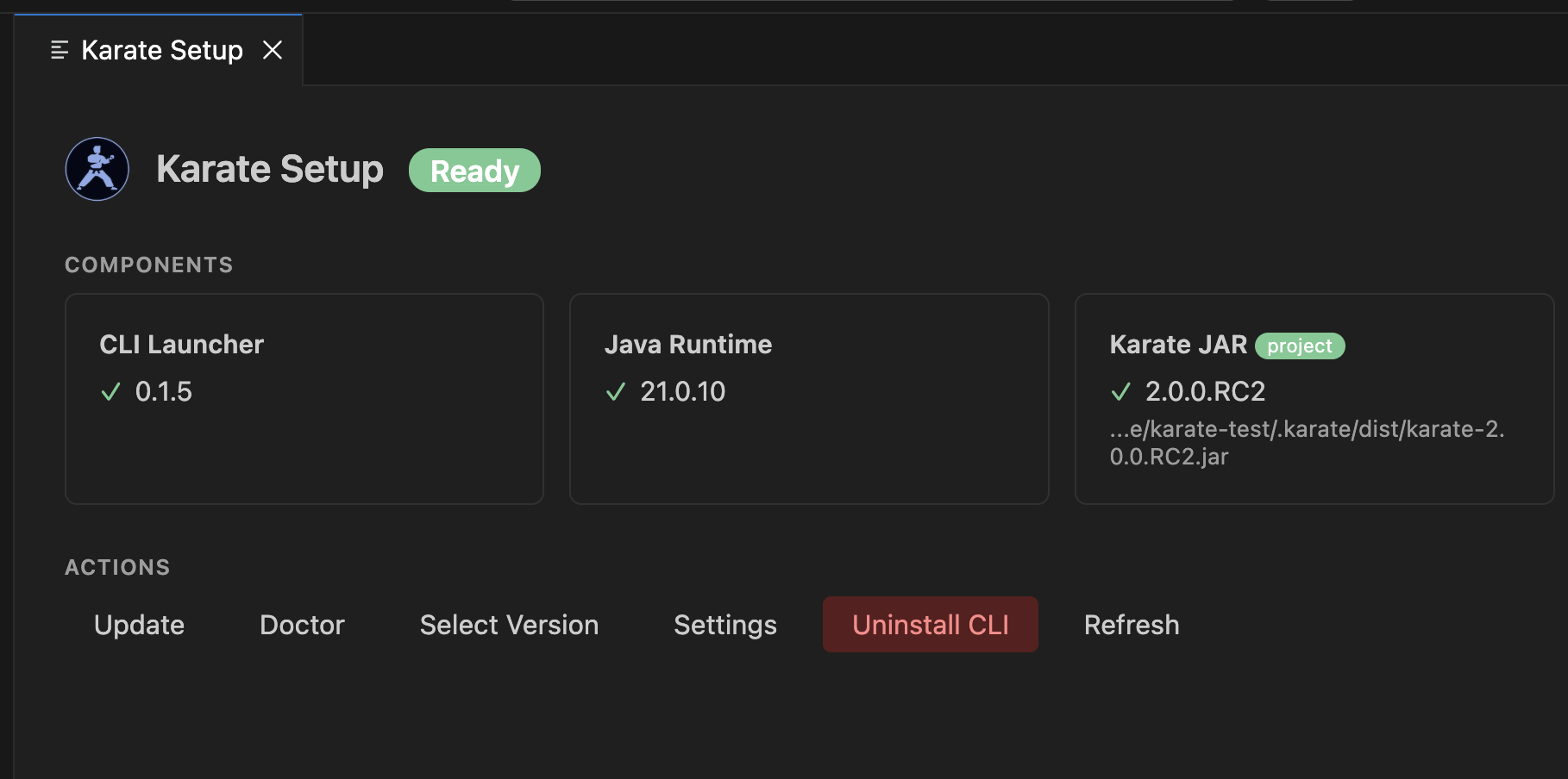 Karate Setup Dashboard in VS Code