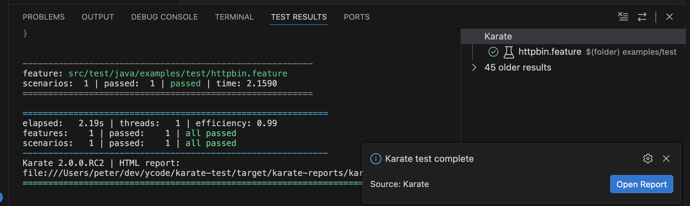 Karate test results panel in VS Code